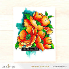 Artists' Watercolor Tube - Toluidine Red - (PR.3)
