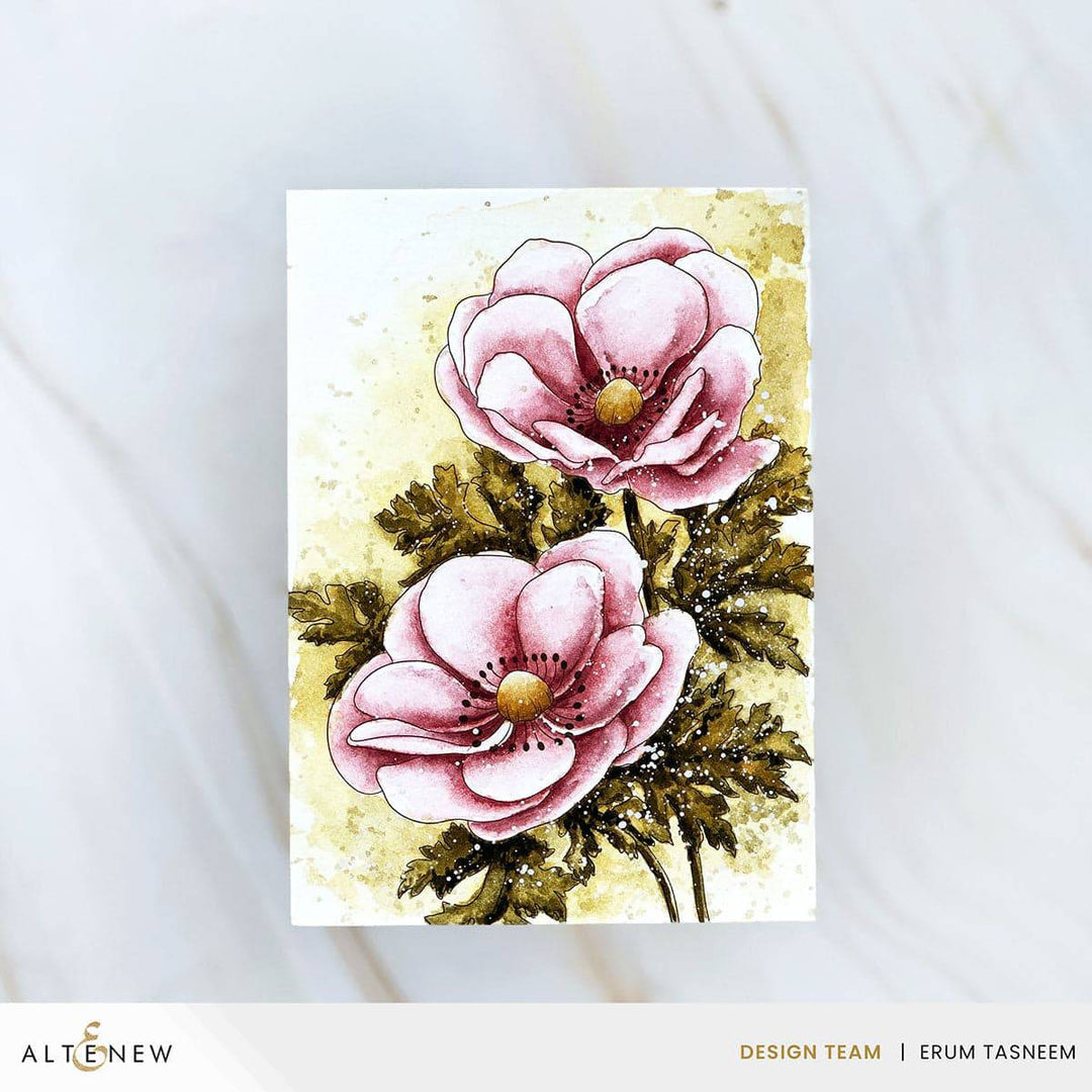 Pocket-Perfect Watercolor Compacts Bundle