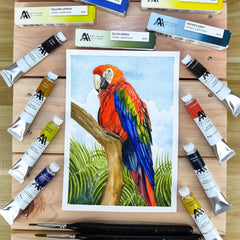 Split Primary Watercolor Bundle