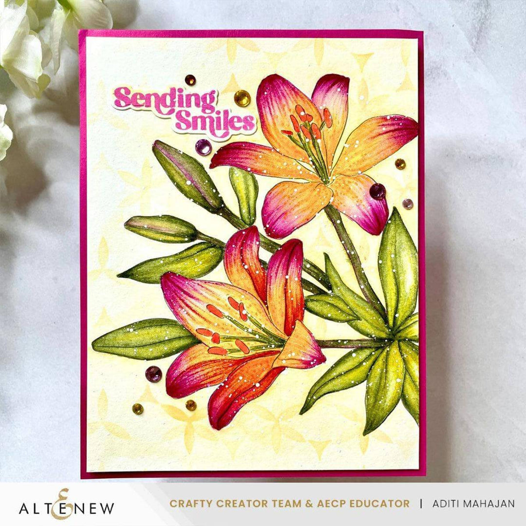 Nature’s Palette Watercolor & Coloring Book Set