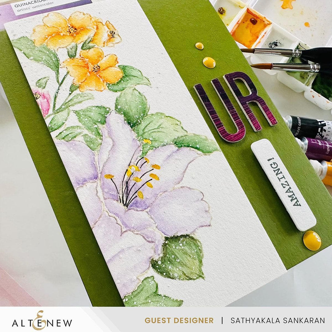 Nature’s Palette Watercolor & Coloring Book Set